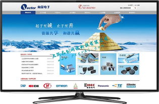 閔行網(wǎng)站建設(shè)與網(wǎng)絡(luò)開發(fā) 打造專業(yè)、高效的在線平臺